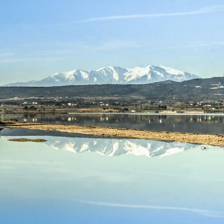 Appartement Le Flamant Rose Пор-ла-Нувель Экстерьер фото